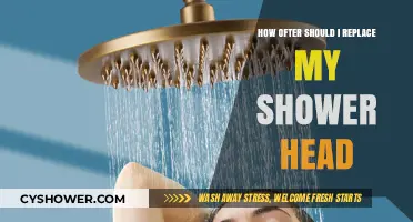 When to Replace Your Shower Head: A Maintenance Guide