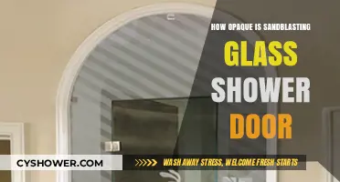 Exploring the Opacity of Sandblasted Glass Shower Doors: Privacy and Style