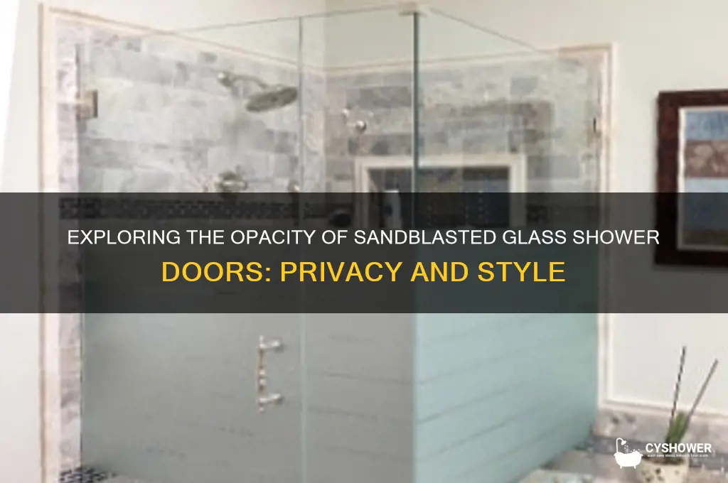 how opaque is sandblasting glass shower door