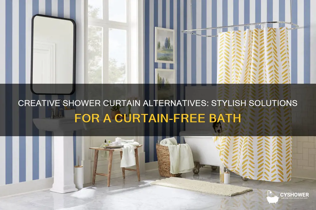 how ot shower curtain without curtain