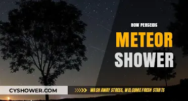 Perseids Meteor Shower: A Celestial Spectacle and Viewing Guide