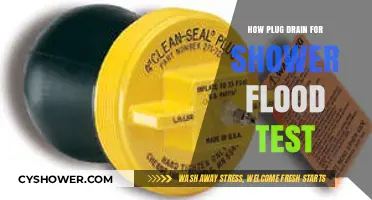 Prevent Shower Floods: Master the Plug Drain Test in Minutes