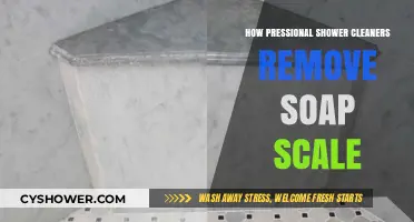 Effective Techniques Professional Shower Cleaners Use to Eliminate Soap Scale