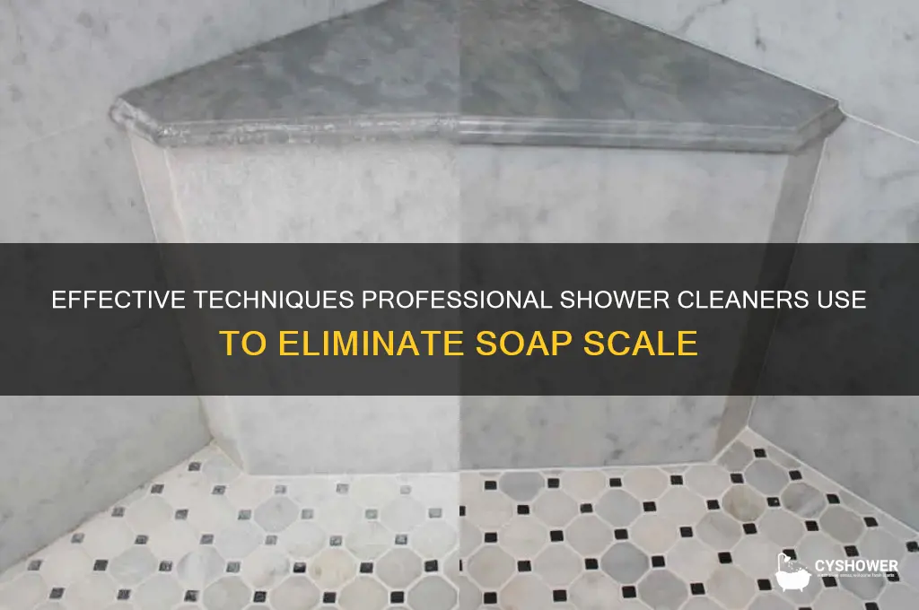 how pressional shower cleaners remove soap scale