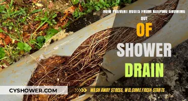 Stop Shower Drain Roots: Effective Prevention Tips for Clear Drains