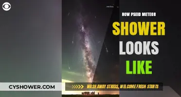 The Celestial Spectacle: Visualizing the Pseud Meteor Shower's Beauty