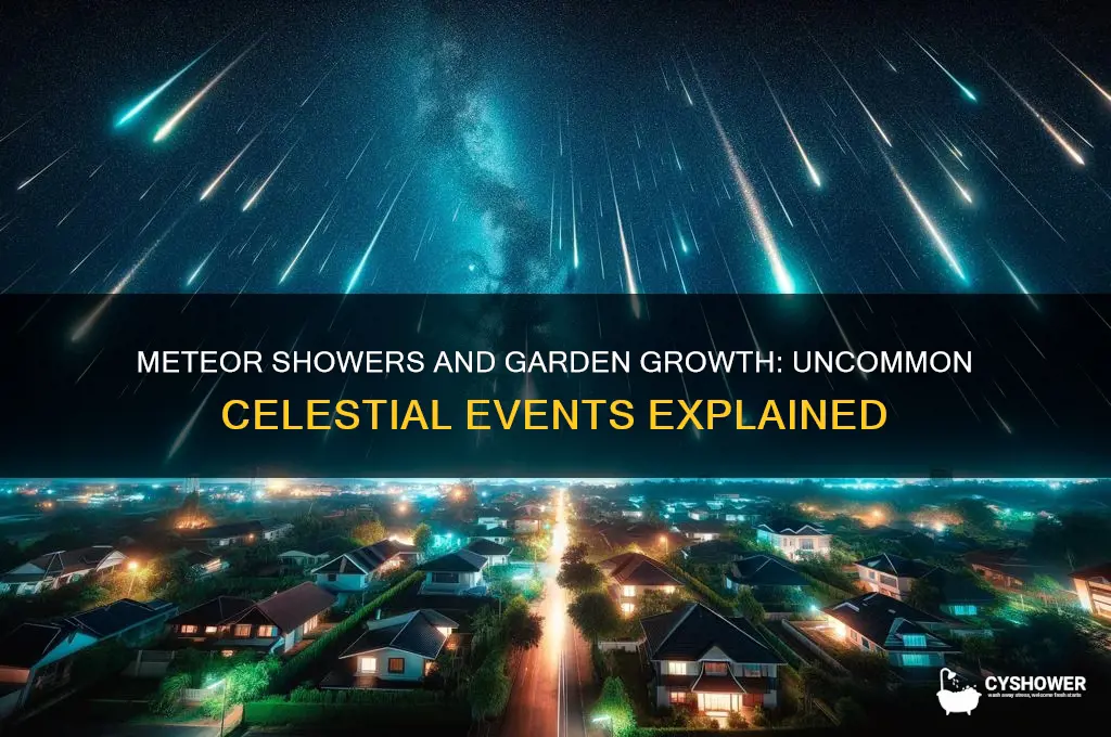 how rare is a meteor shower in grow a garden