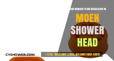 Easy Guide to Removing a Flow Regulator from Moen Shower Heads