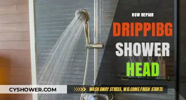 Fix Your Leaky Shower Head: Quick DIY Repair Guide