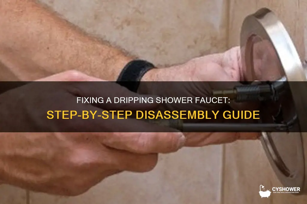 how ro take shower faucet apart to fix drip