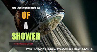 Optimal Shower Water Flow: Tips for a Perfect Shower Experience