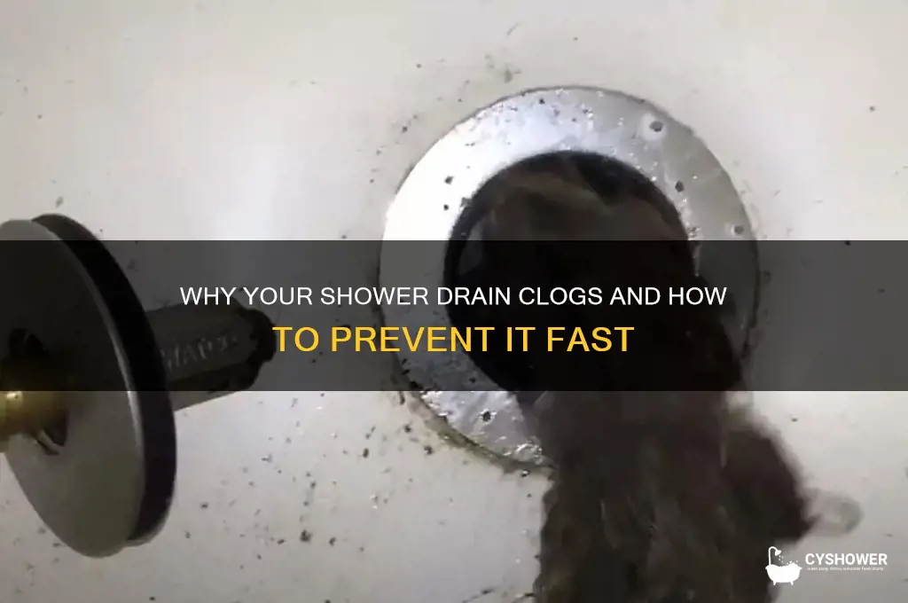 how shower drain clogged