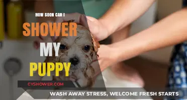 When Can Puppies Have Their First Bath? A Guide
