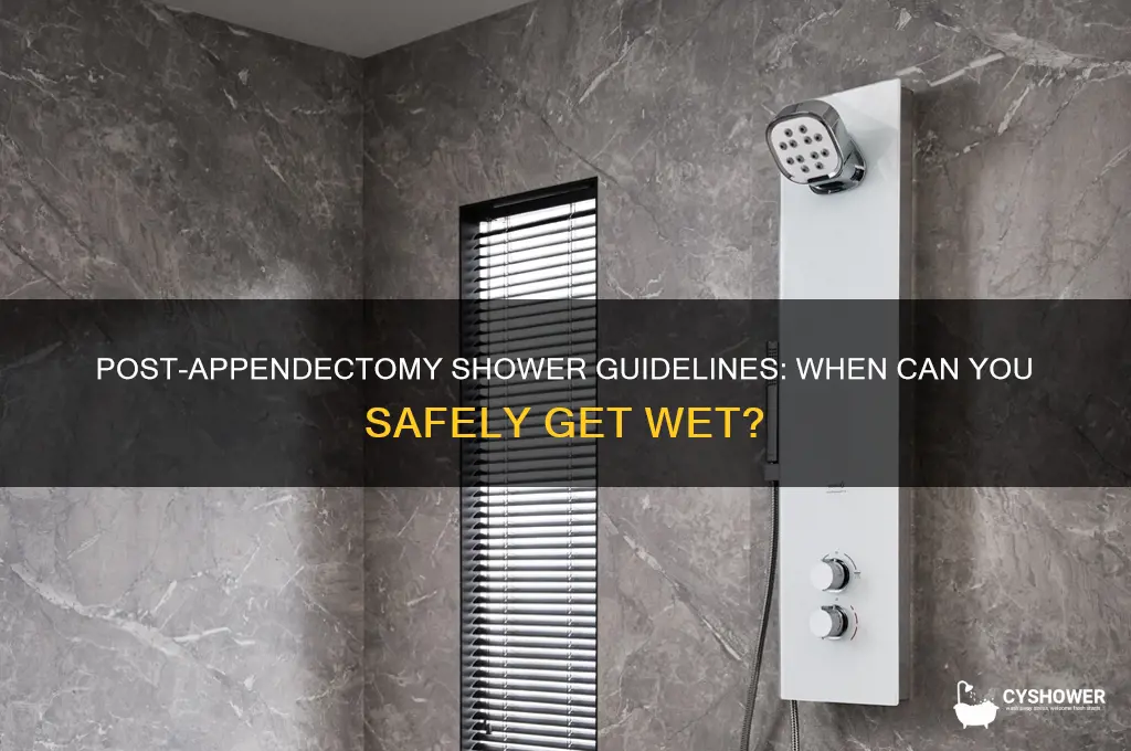 how soon can you shower after an appendectomy