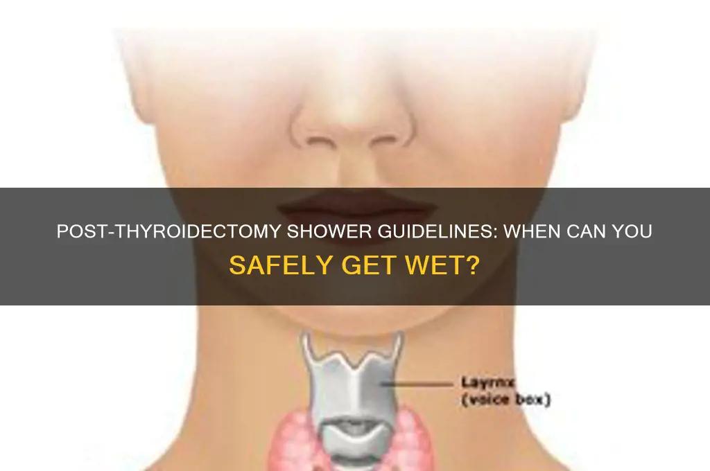 how soon can you shower after thyroidectomy