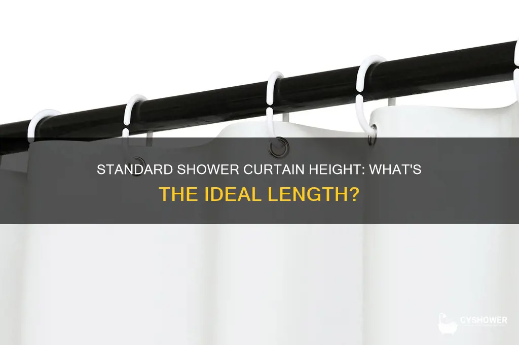 how tall is a standard shower curtain