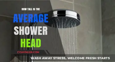Standard Shower Head Height: What’s the Average Measurement?