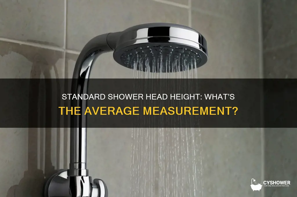 how tall is the average shower head