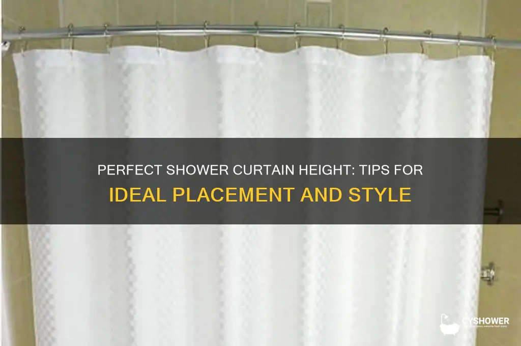 how tall showeuld shower curtains hang