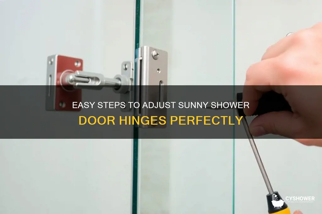 how to adjust sunny shower door hinges
