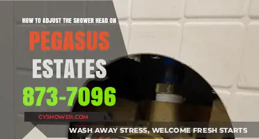 Adjusting Your Pegasus Estates 873-7096 Shower Head: A Simple Guide