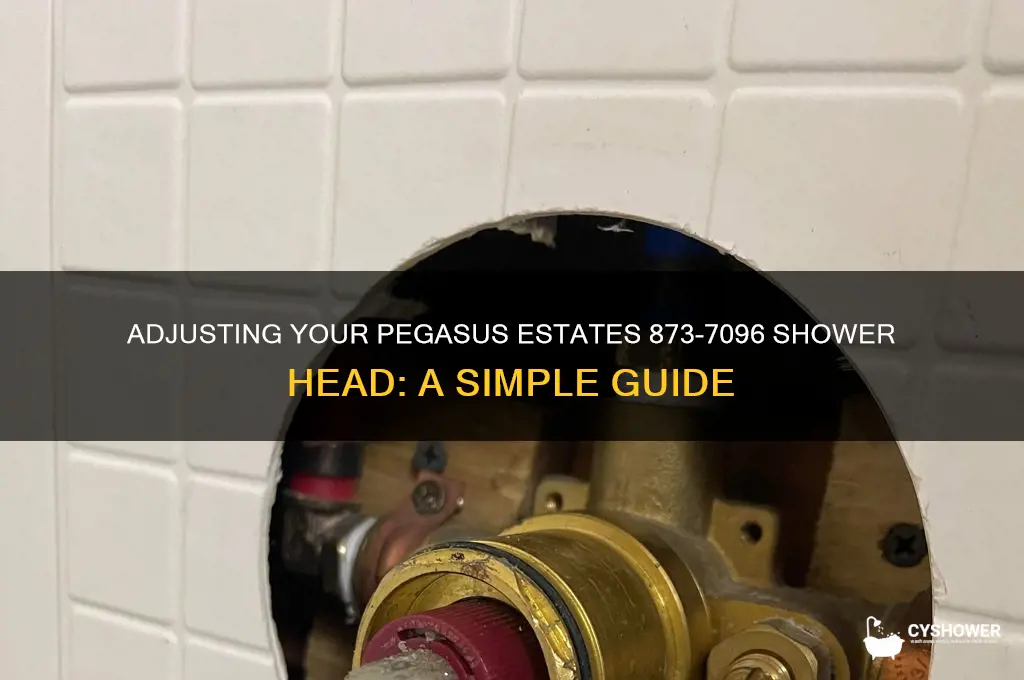 how to adjust the shower head on pegasus estates 873-7096