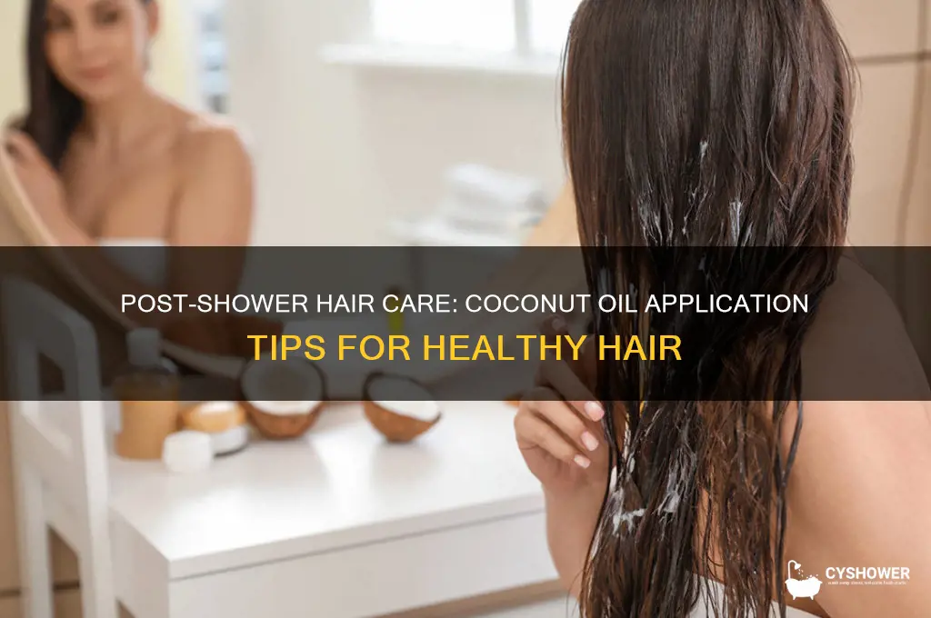 how to apply coconut oil to hair after shower