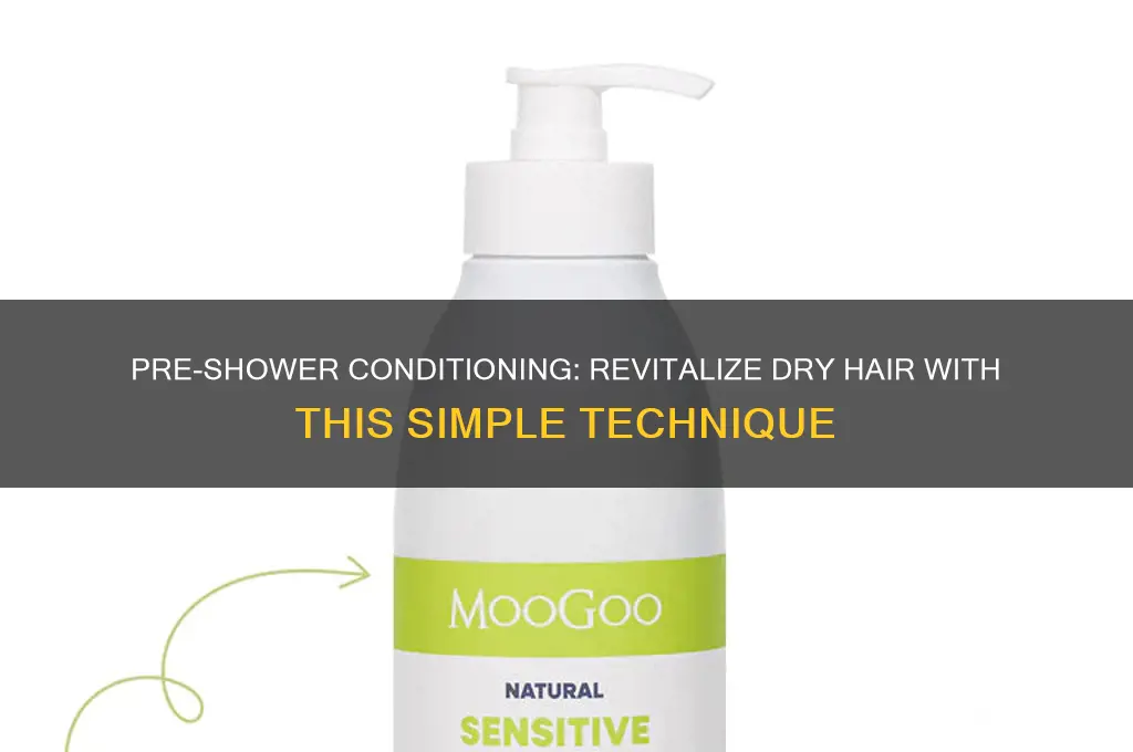 how to apply conditioner to dry hair pre shower
