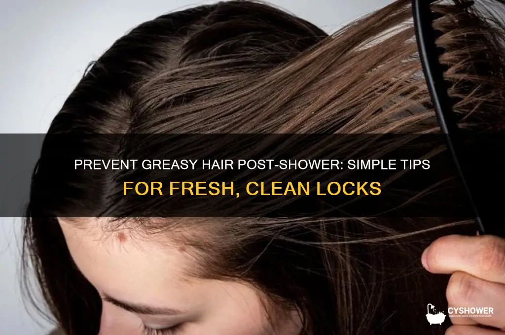 how to avoid greasy hair after shower