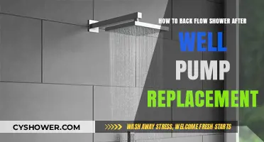 Post-Well Pump Replacement: Steps to Backflow Your Shower Efficiently