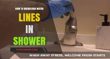 Effective Shower Maintenance: Step-by-Step Guide to Backflushing Water Lines