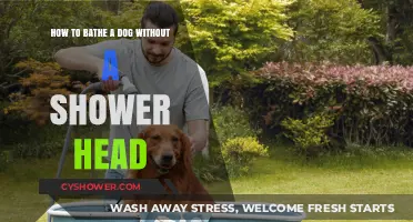 Easy Dog Bathing Tips: No Shower Head, No Problem!