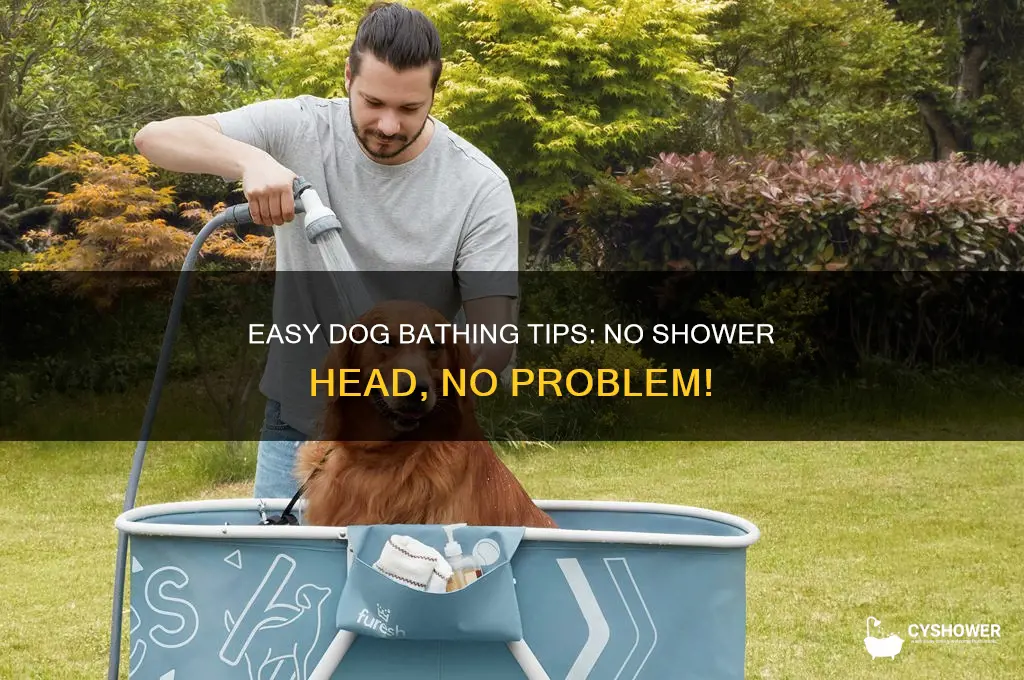 how to bathe a dog without a shower head