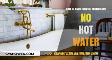 Creative Bathing Solutions: No Shower, No Hot Water, No Problem!