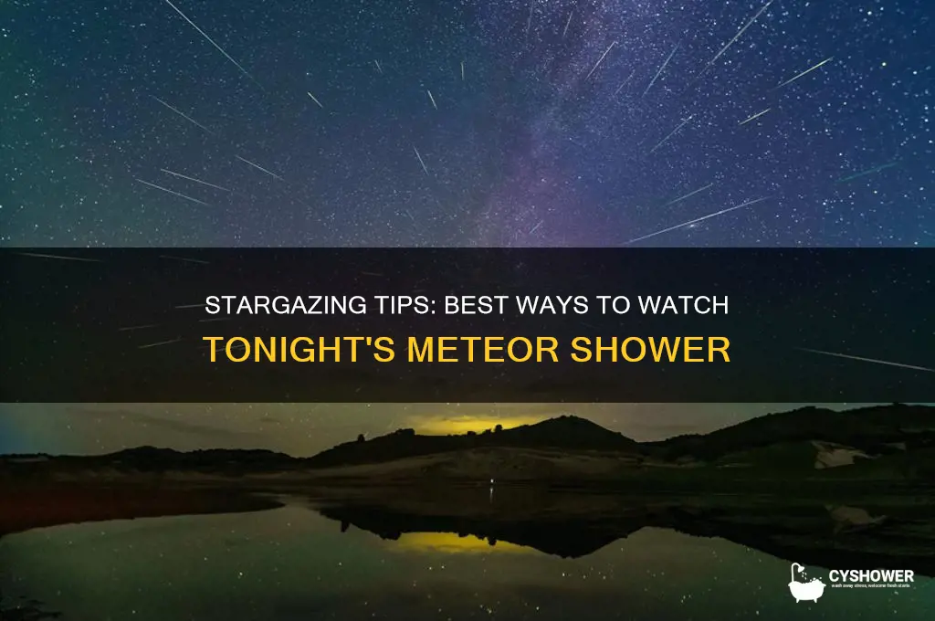 how to best see meteor shower tonight