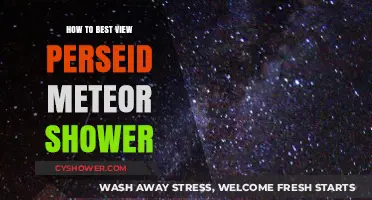 Best Tips for Viewing the Perseid Meteor Shower This Year