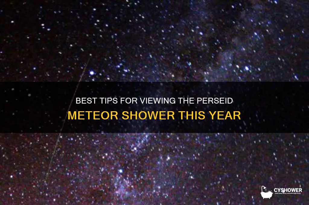 how to best view perseid meteor shower