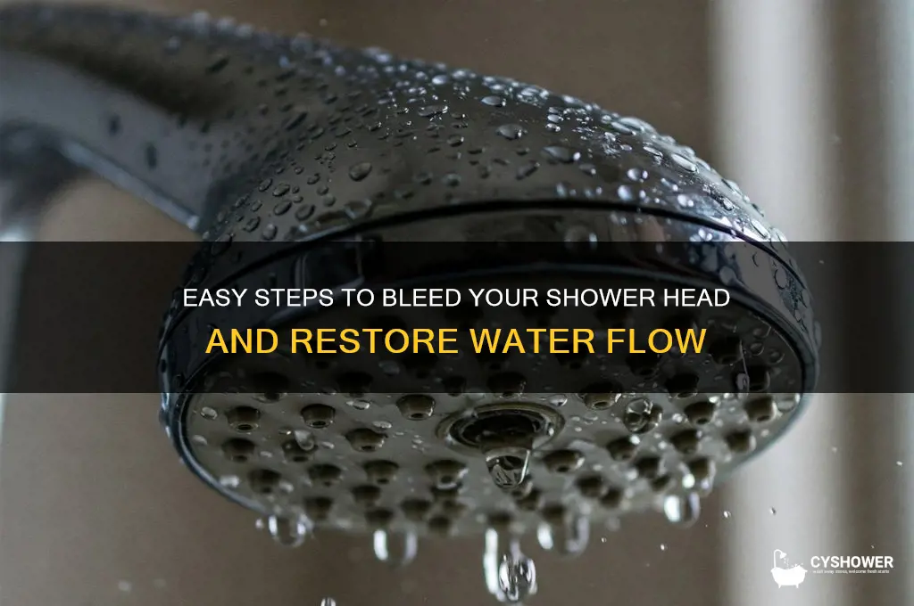 how to bleed a shower head