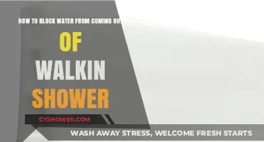 Prevent Shower Water Overflow: Effective Tips to Block Walk-In Shower Leaks