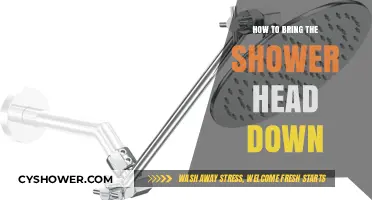 Adjusting Your Shower Head: Simple Steps to Lower Its Height