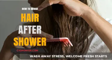 Post-Shower Hair Care: Mastering the Art of Brushing Wet Hair