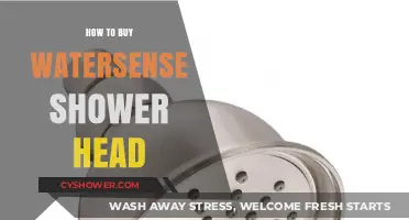 Eco-Friendly Shower Upgrade: Guide to Buying WaterSense Shower Heads