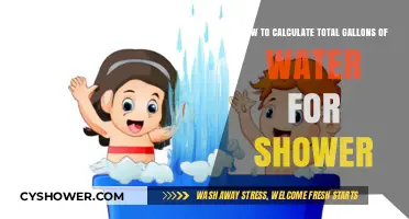 Calculate Your Shower's Water Usage: Total Gallons Made Easy