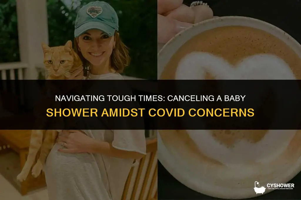 how to cancel a baby shower due to covid