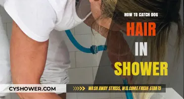 Effective Tips to Catch Dog Hair in the Shower Easily