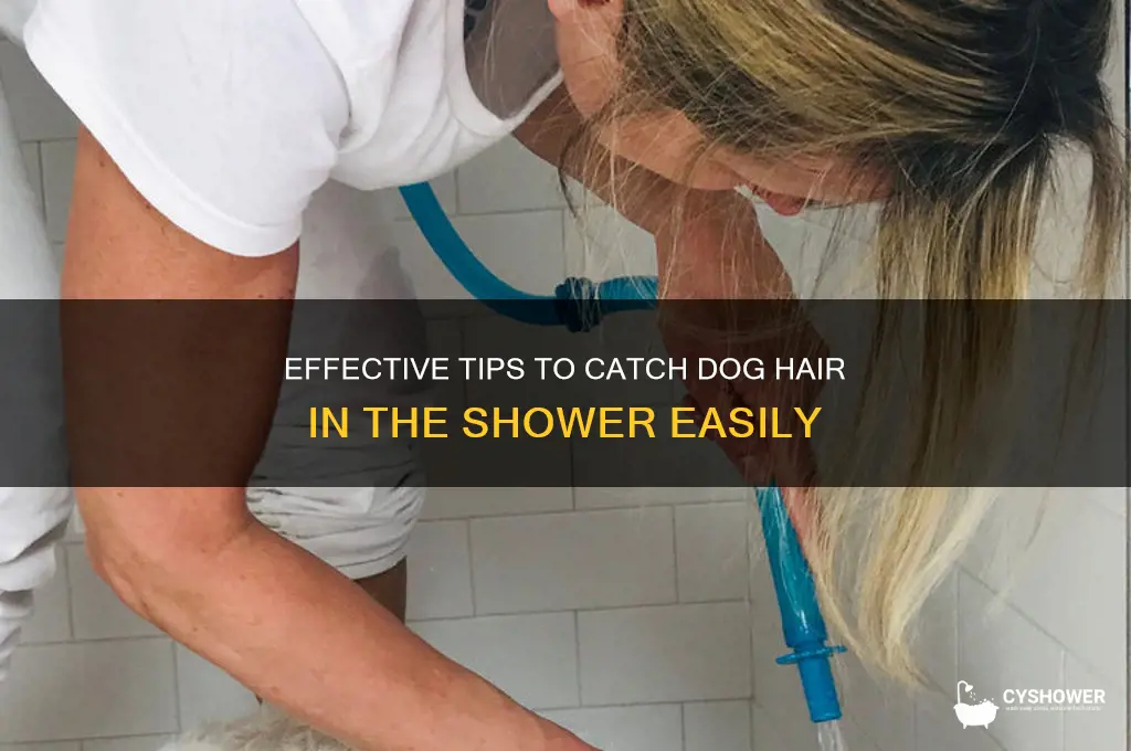 how to catch dog hair in shower