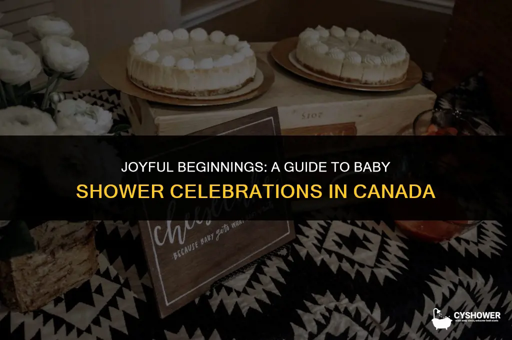 how to celebrate baby shower in canada