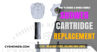 Easy Guide to Replacing a Double Handle Shower Cartridge