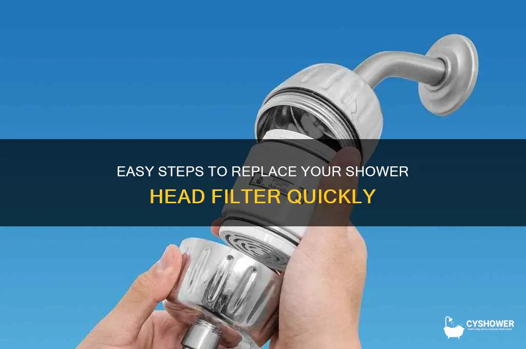 how to change a shower head filter