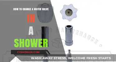 Easy DIY Guide: Replacing Your Shower Water Valve Step-by-Step